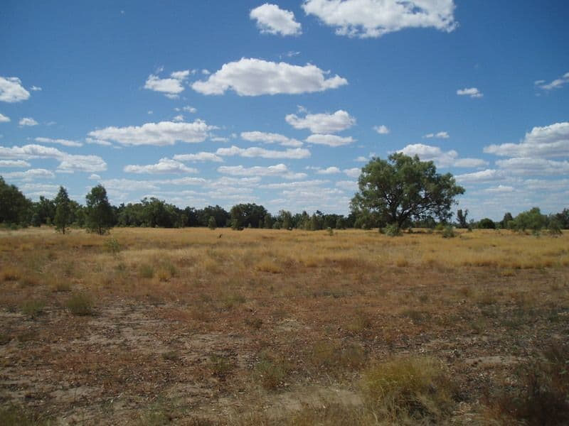 Lot 2 Frawley Street, CHARLEVILLE QLD 4470, Charleville - Thumbnail 5