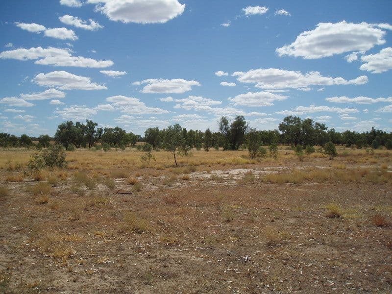 Lot 2 Frawley Street, CHARLEVILLE QLD 4470, Charleville - Thumbnail 6