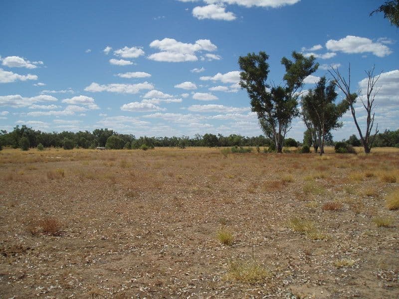 Lot 2 Frawley Street, CHARLEVILLE QLD 4470, Charleville - Thumbnail 7