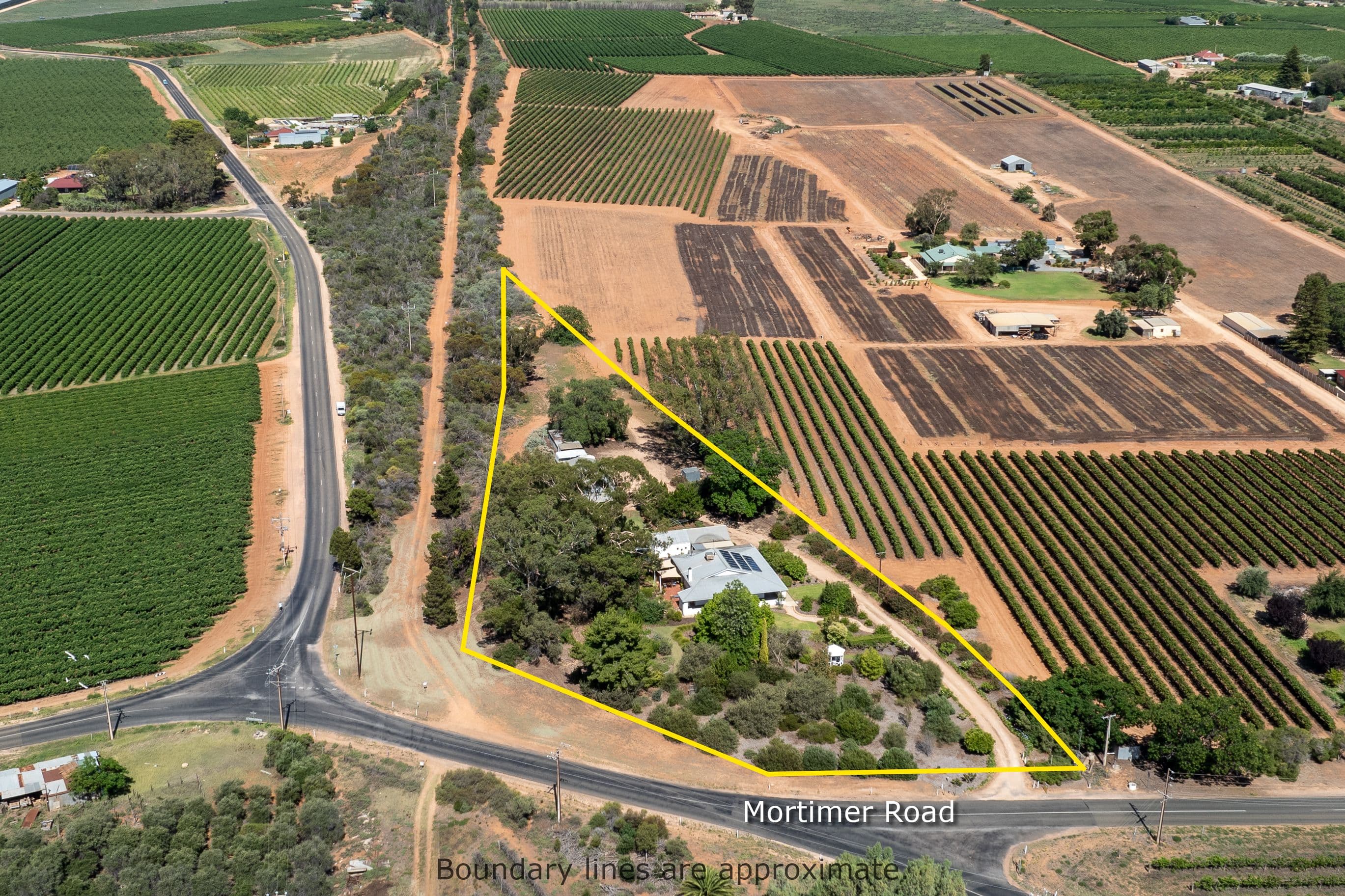 121 Mortimer Road, Berri SA 5343, Berri - Thumbnail 2