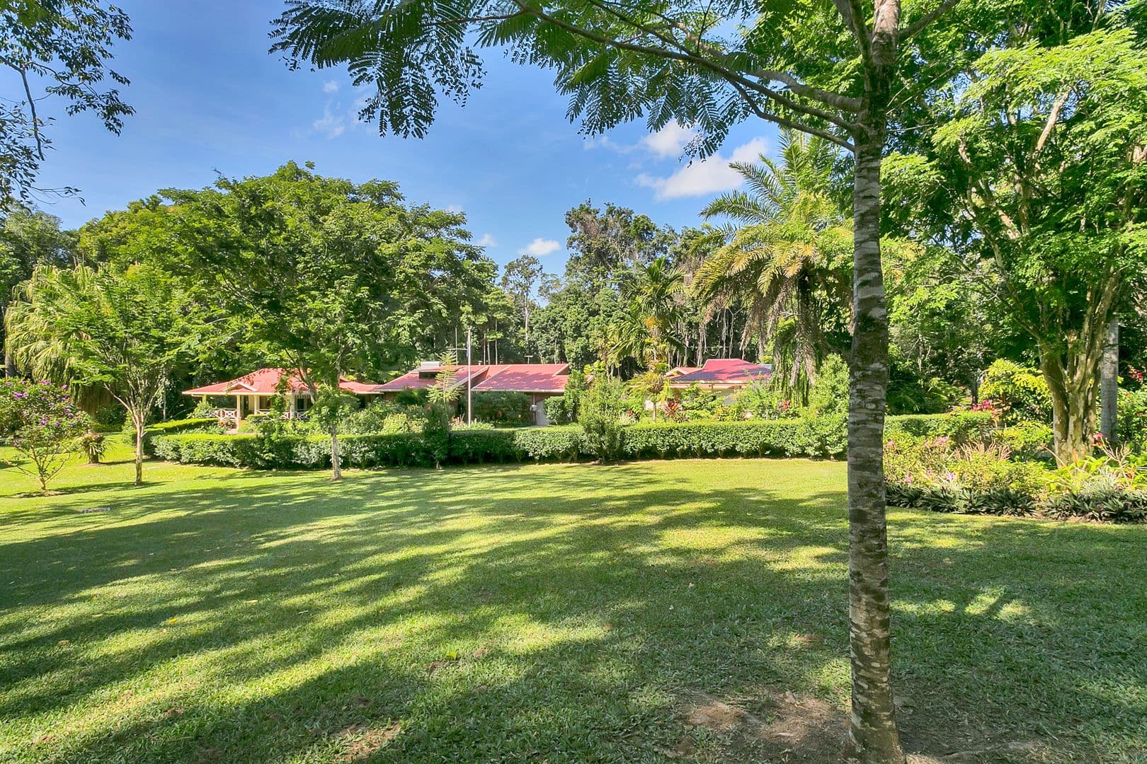 17 Warril Drive, Kuranda QLD 4881, Kuranda - Thumbnail 2