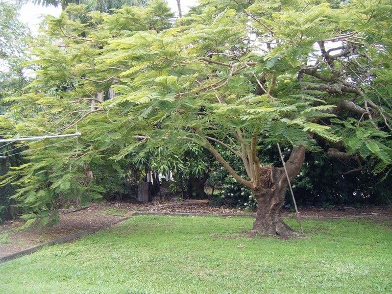 7 Zenith Avenue, LABRADOR QLD 4215, Labrador - Thumbnail 4