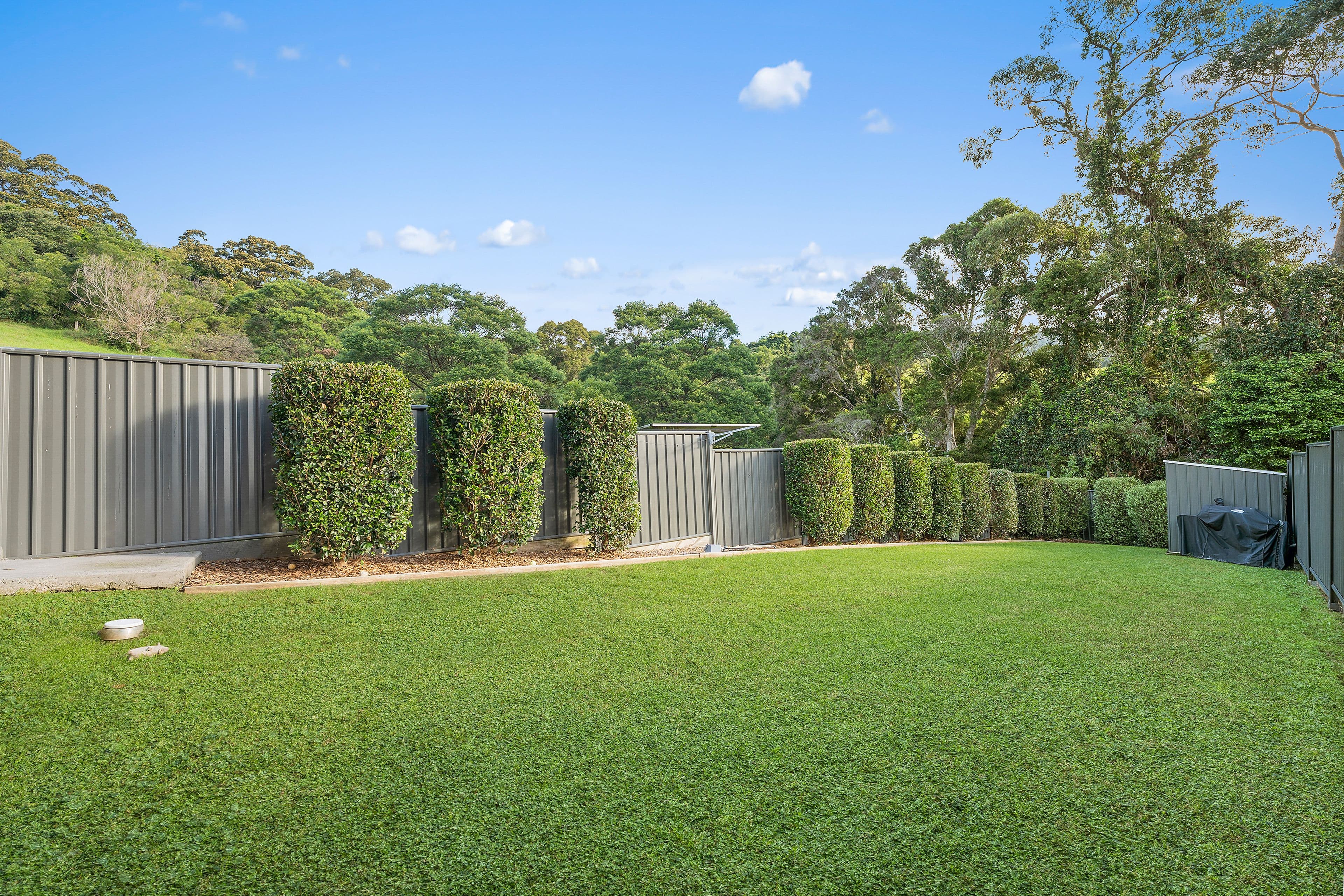 16 Red Gum Road, Albion Park NSW 2527, Albion Park - Thumbnail 8