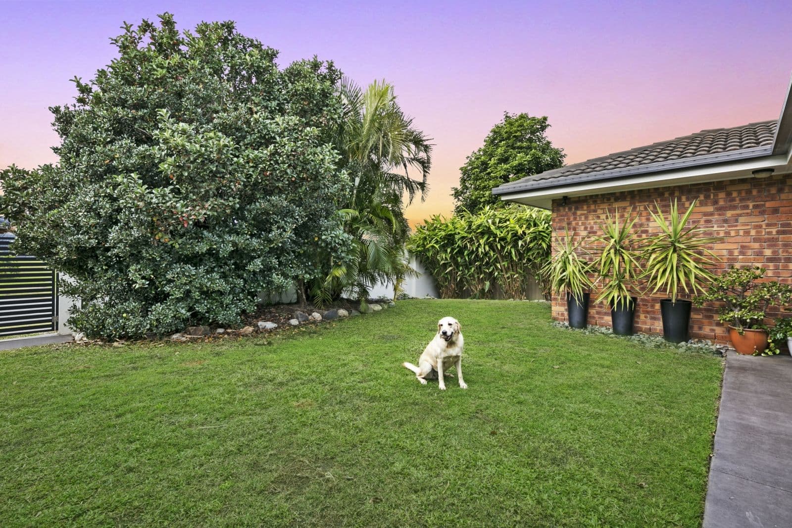 275 Ron Penhaligon Way, Robina QLD 4226, Robina - Thumbnail 5