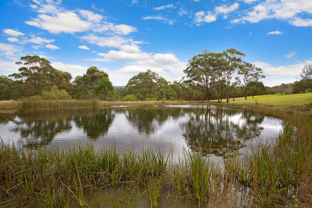 109 Cedar Ridge Road, Kurrajong NSW 2758, Kurrajong - Thumbnail 7