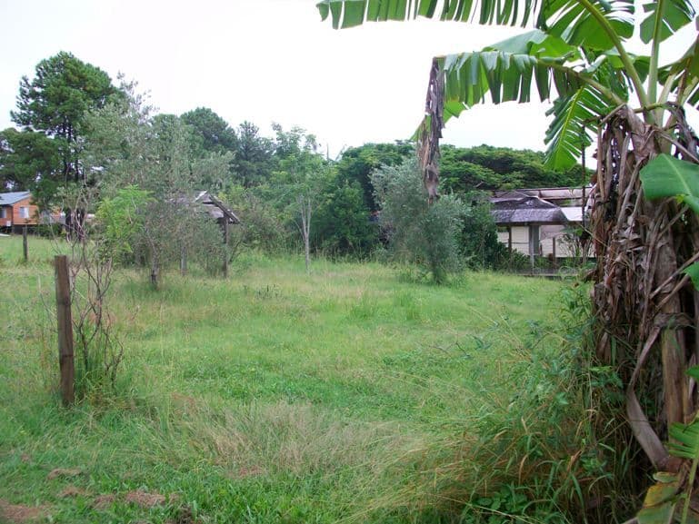 5 Richardson Street, RUSSELL ISLAND QLD 4184, Russell Island - Image 1