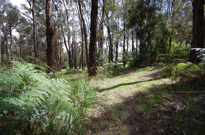 22 Bailey Grove, WANDIN NORTH VIC 3139, Wandin North - Thumbnail 5