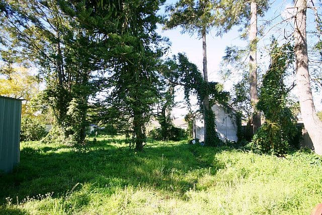 17 Haig Avenue, GEORGES HALL NSW 2198, Georges Hall - Thumbnail 4