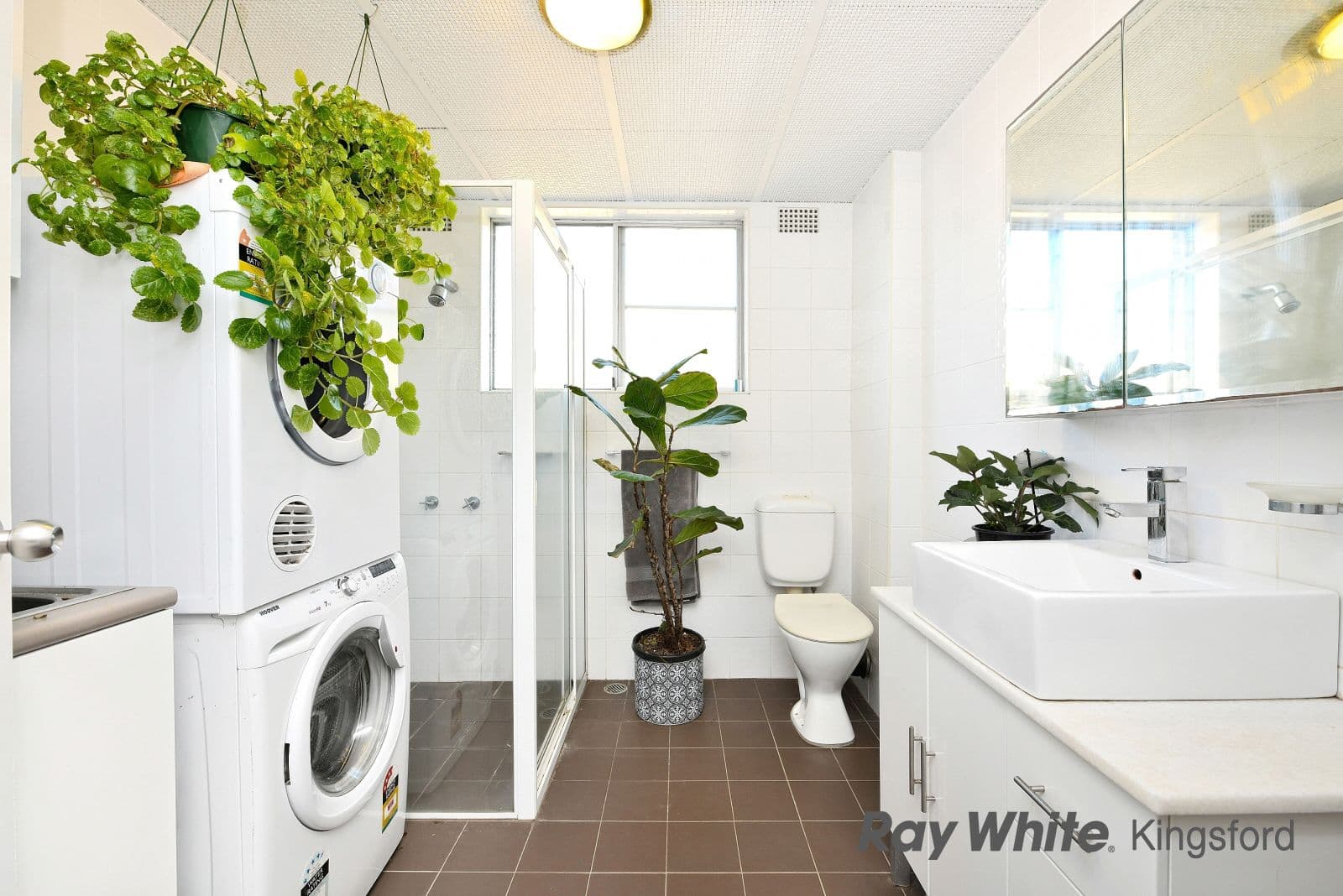 59 Kensington Road, Kensington NSW 2033, Kensington - Thumbnail 2