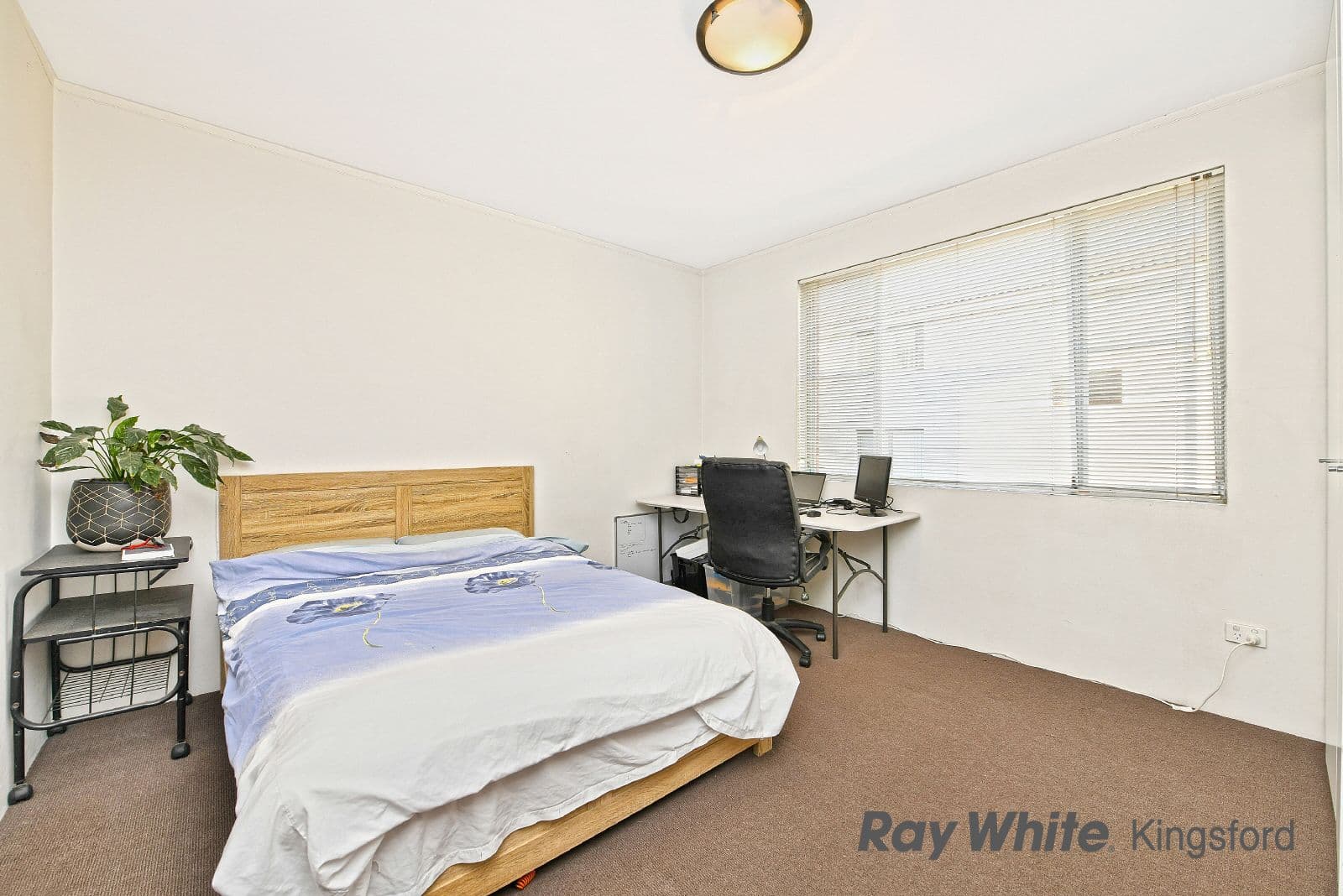59 Kensington Road, Kensington NSW 2033, Kensington - Thumbnail 4