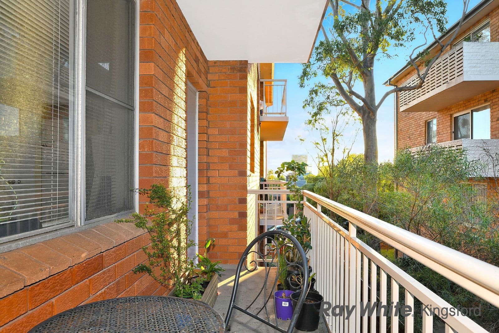59 Kensington Road, Kensington NSW 2033, Kensington - Thumbnail 6