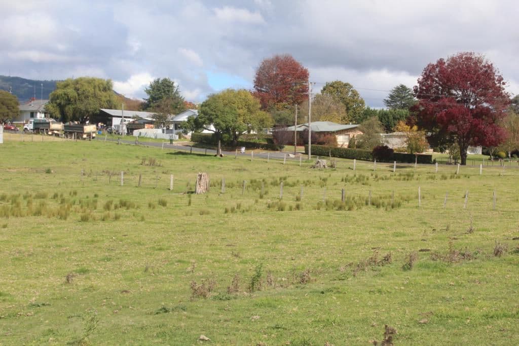 Lot 2 Pelham Street, TENTERFIELD NSW 2372, Tenterfield - Thumbnail 3