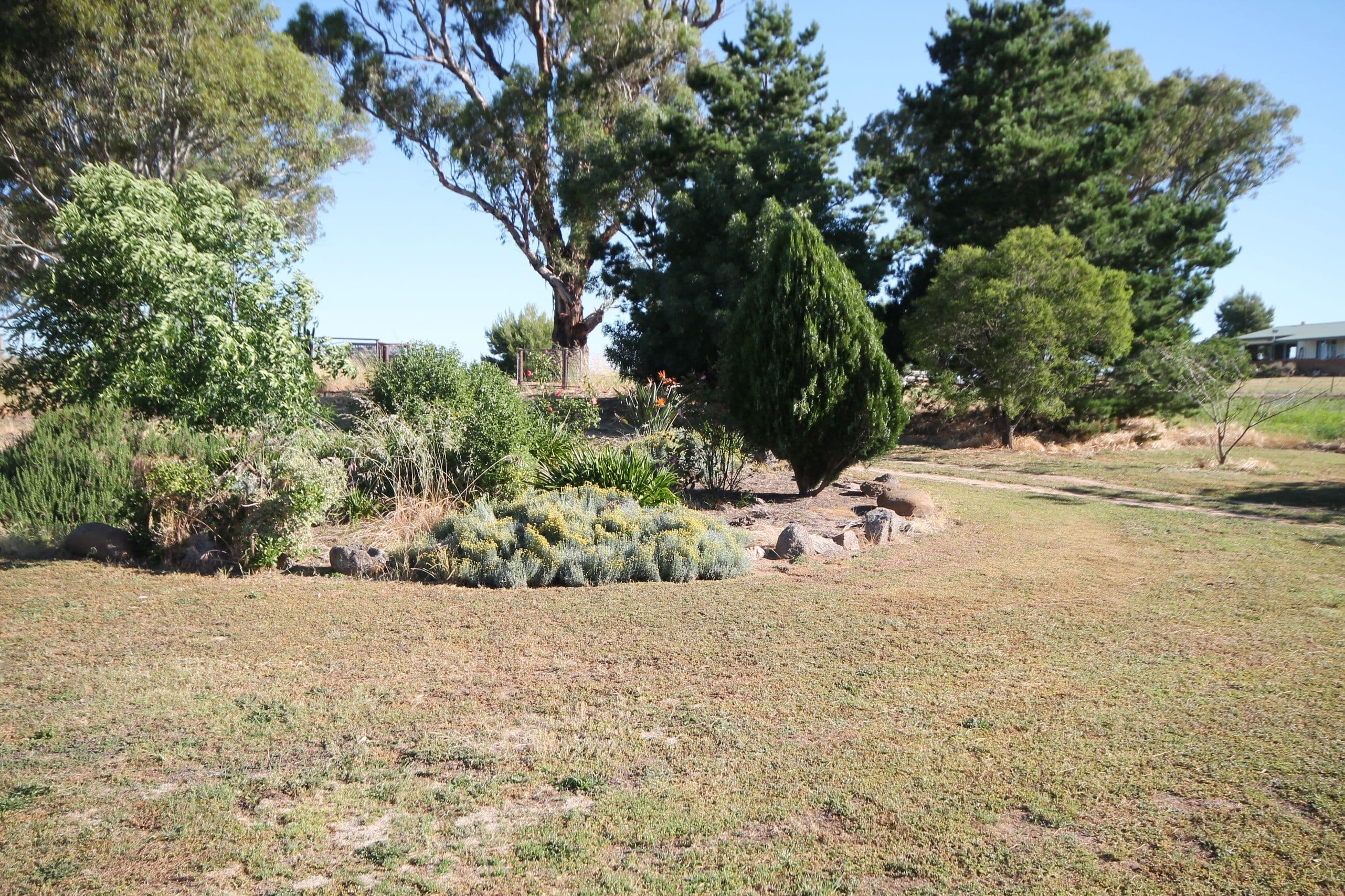 100 Belmore Road, Young NSW 2594, Young - Thumbnail 2