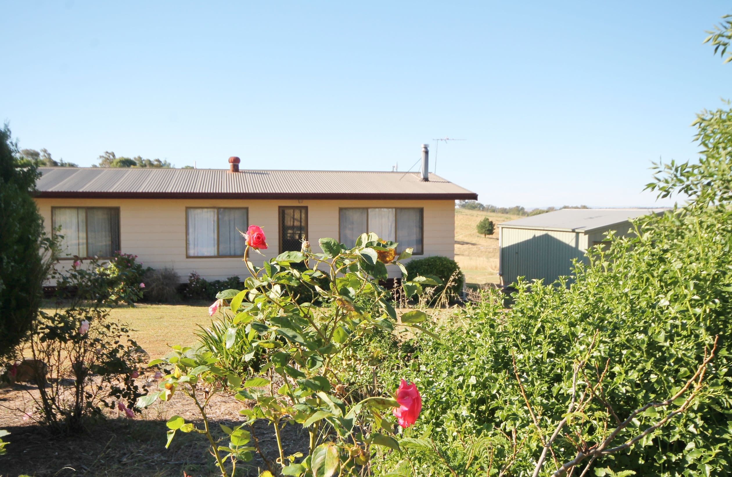 100 Belmore Road, Young NSW 2594, Young - Thumbnail 4
