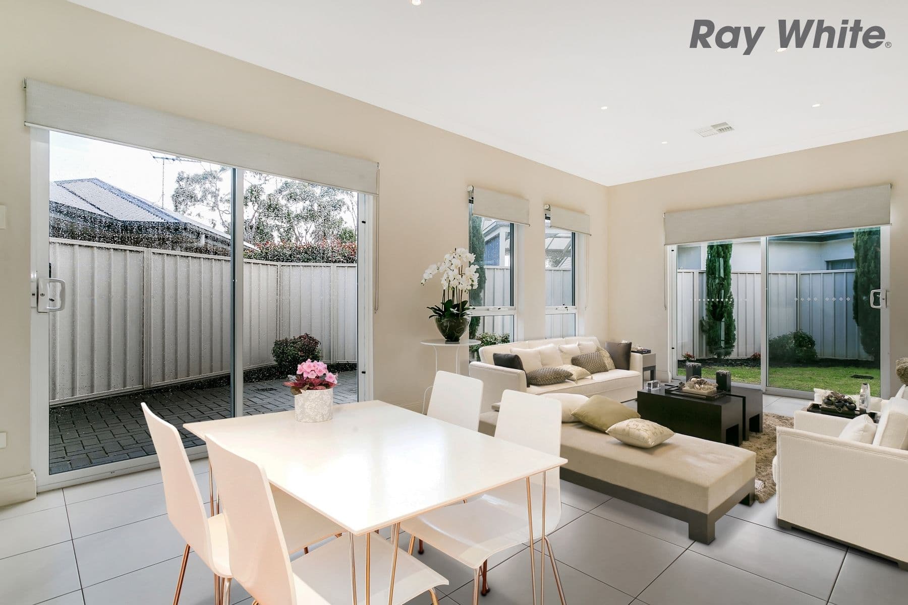 14 Trott Grove, Oaklands Park SA 5046, Oaklands Park - Thumbnail 2