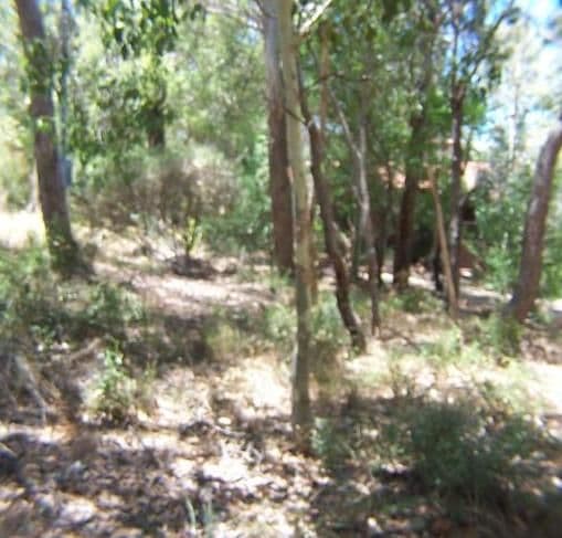 4 Graham Road, GOOSEBERRY HILL WA 6076, Gooseberry Hill - Thumbnail 8