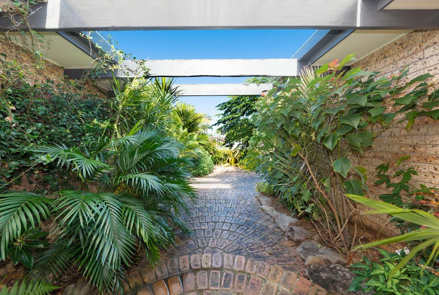 1 Ibis Court, Sorrento QLD 4217, Sorrento - Thumbnail 6