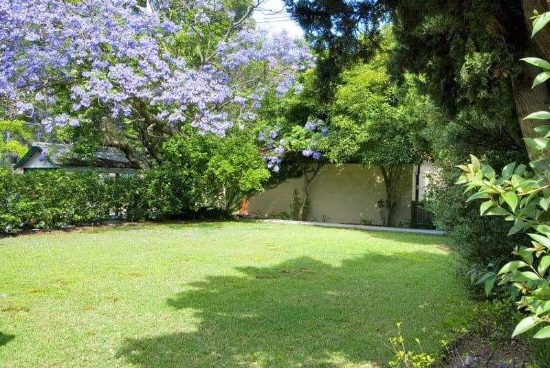 222 Pacific Highway, GREENWICH NSW 2065, Greenwich - Thumbnail 6