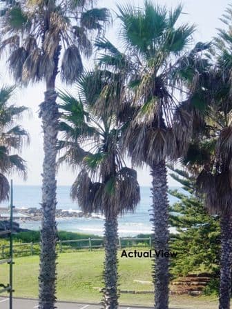 43 Ocean View Road, FRESHWATER NSW 2096, Freshwater - Thumbnail 2