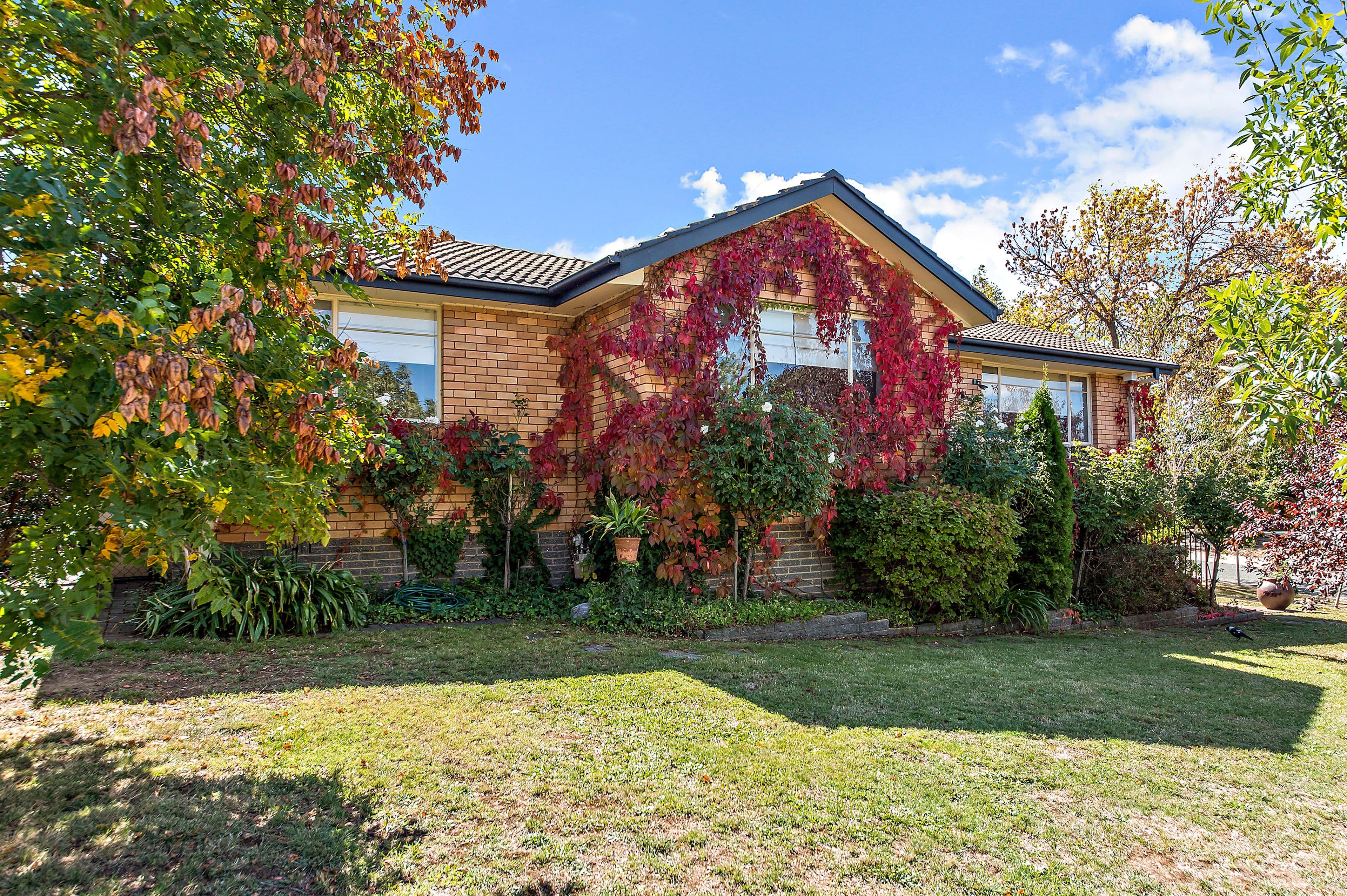 1 Cornelian Place, Lyons ACT 2606, Lyons - Image 1