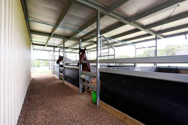 506 Neils Road, Adelaide Park QLD 4703, Adelaide Park - Thumbnail 2