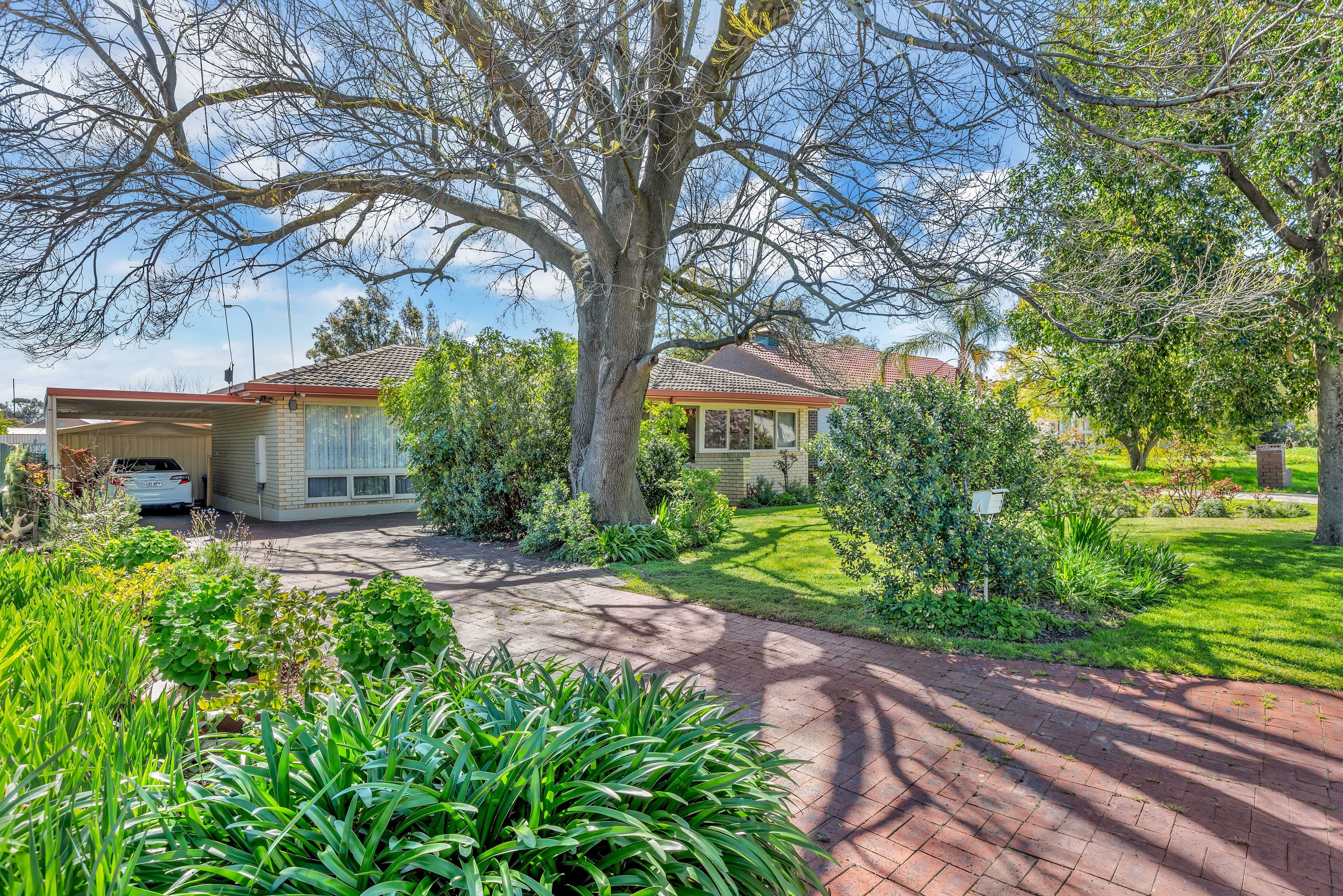 5 Mary Crescent, Newton SA 5074, Newton - Image 1