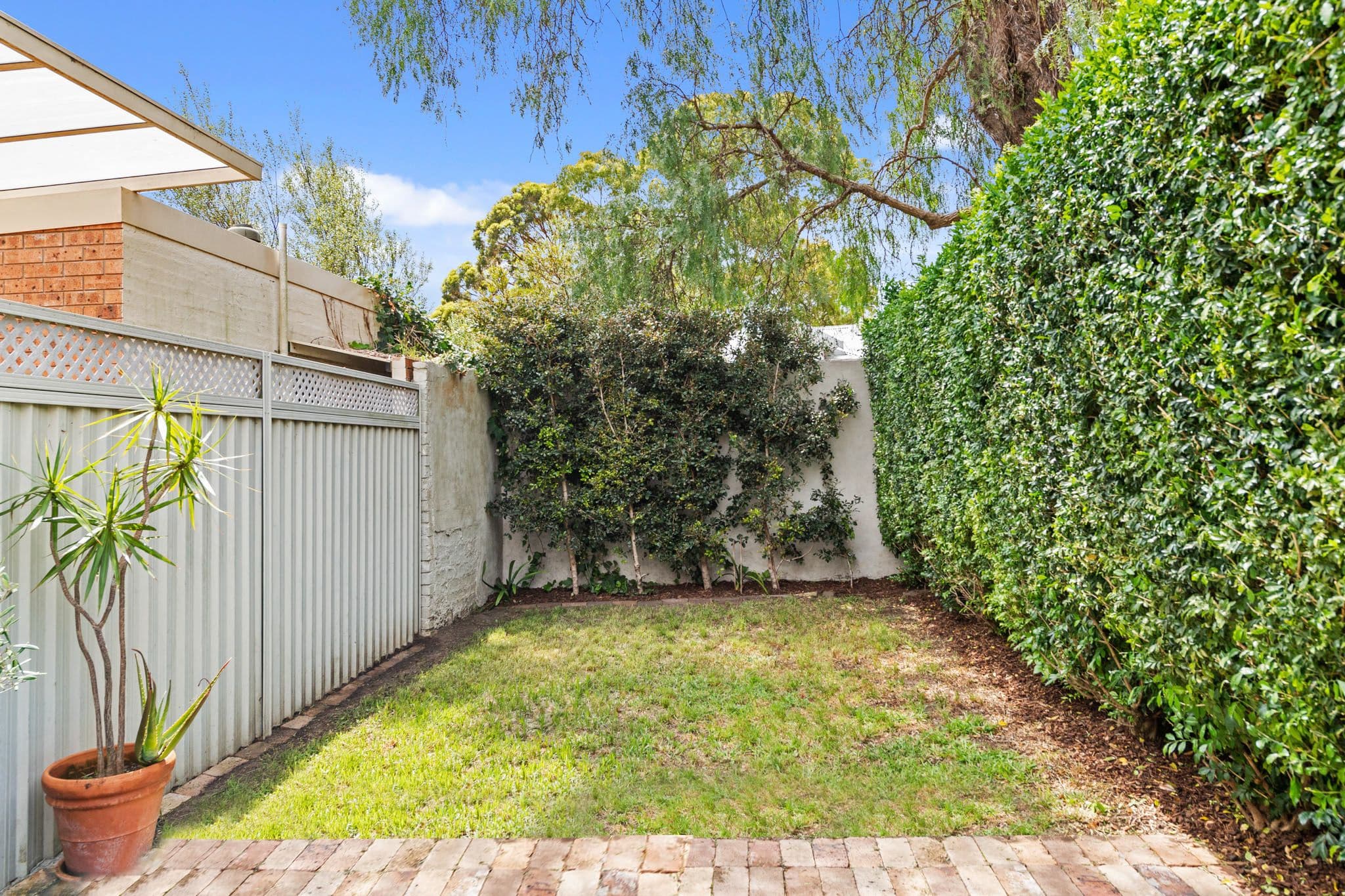 51 Elswick Street, Leichhardt NSW 2040, Leichhardt - Thumbnail 8