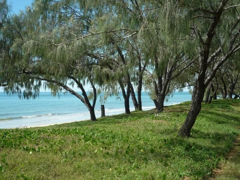23 Lorikeet Avenue, WOODGATE QLD 4660, Woodgate - Thumbnail 5