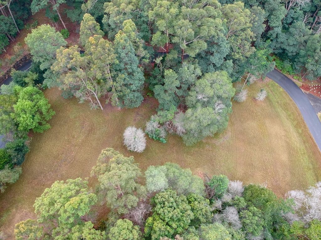 2 Warri Way, Currumbin Valley QLD 4223, Currumbin Valley - Thumbnail 2
