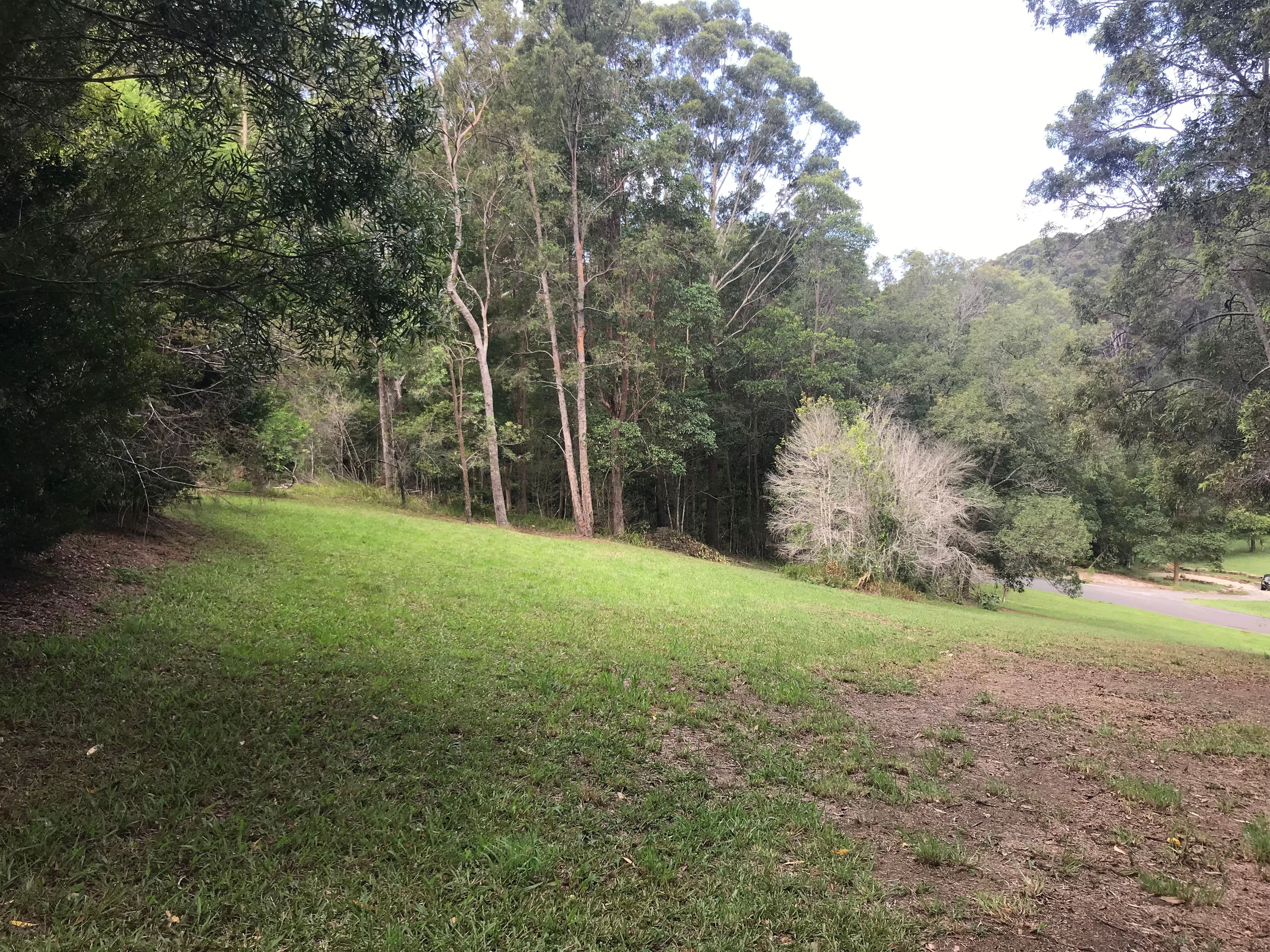 2 Warri Way, Currumbin Valley QLD 4223, Currumbin Valley - Thumbnail 3