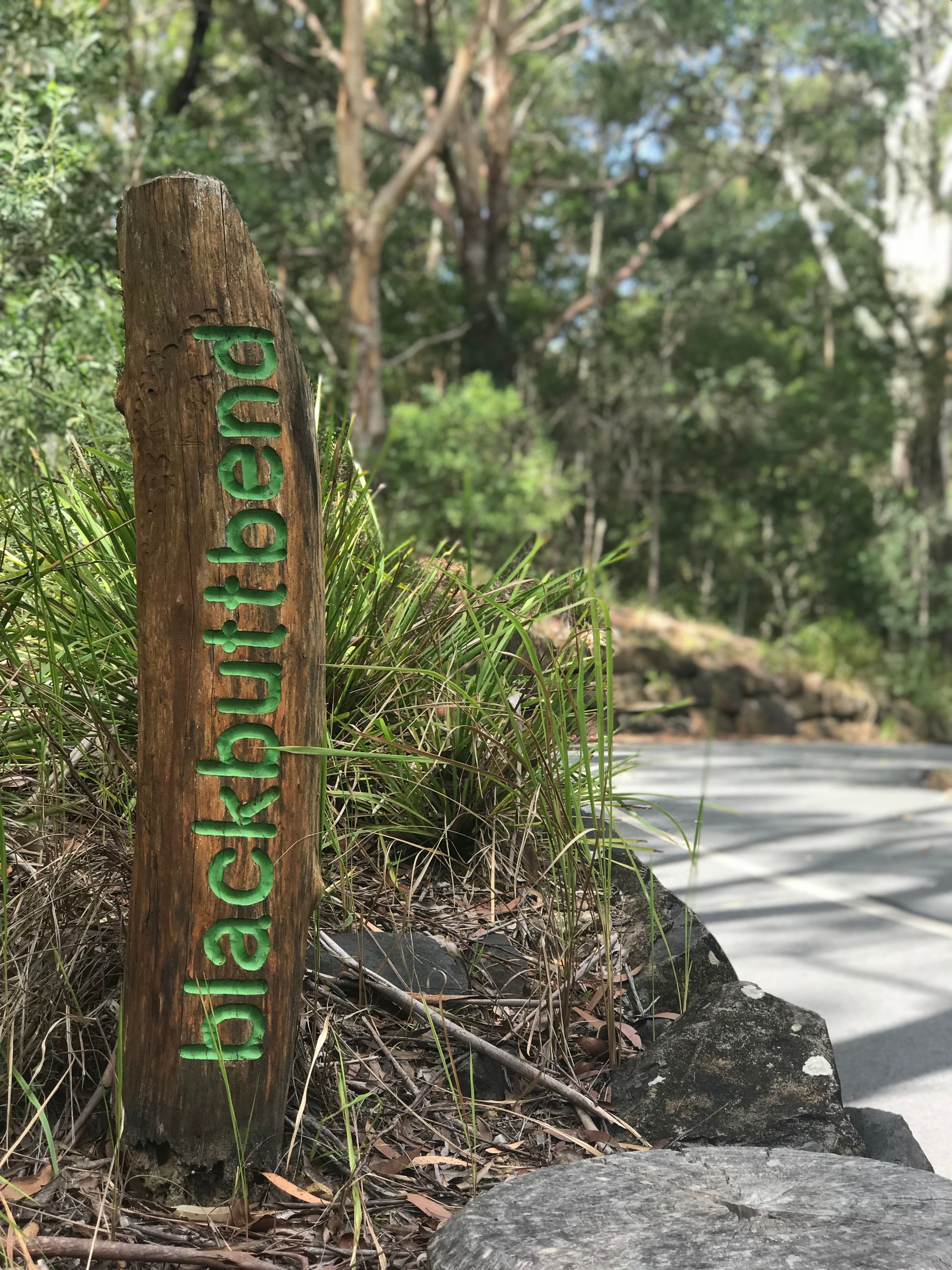 2 Warri Way, Currumbin Valley QLD 4223, Currumbin Valley - Thumbnail 7