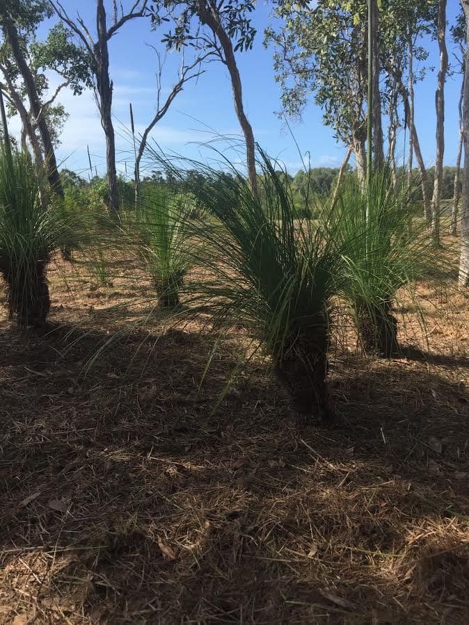 Lot 29 Conder Parade, Laguna Quays QLD 4800, Laguna Quays - Thumbnail 5