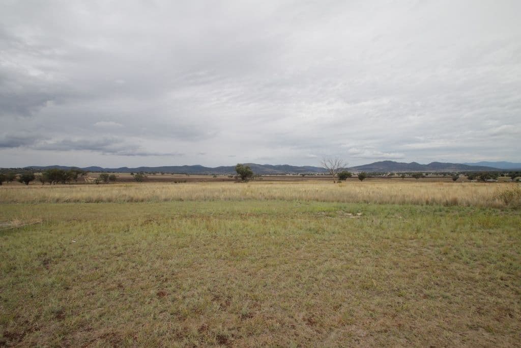 19 Morning View Close, Quirindi NSW 2343, Quirindi - Thumbnail 2