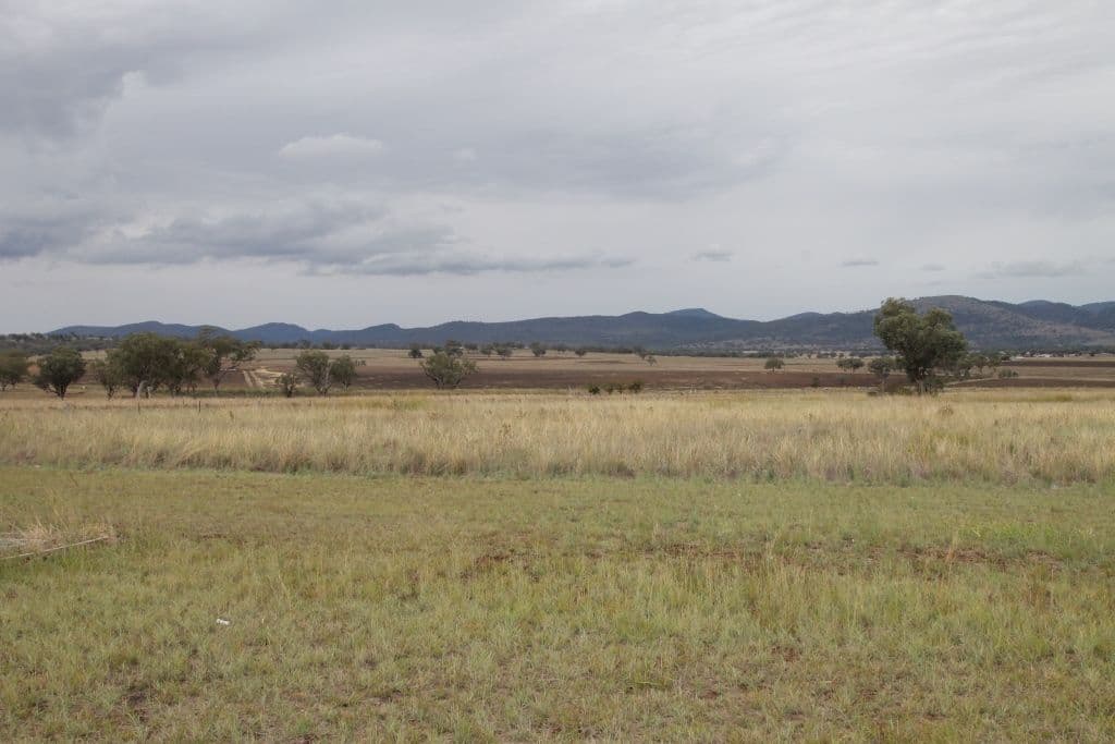 19 Morning View Close, Quirindi NSW 2343, Quirindi - Thumbnail 4