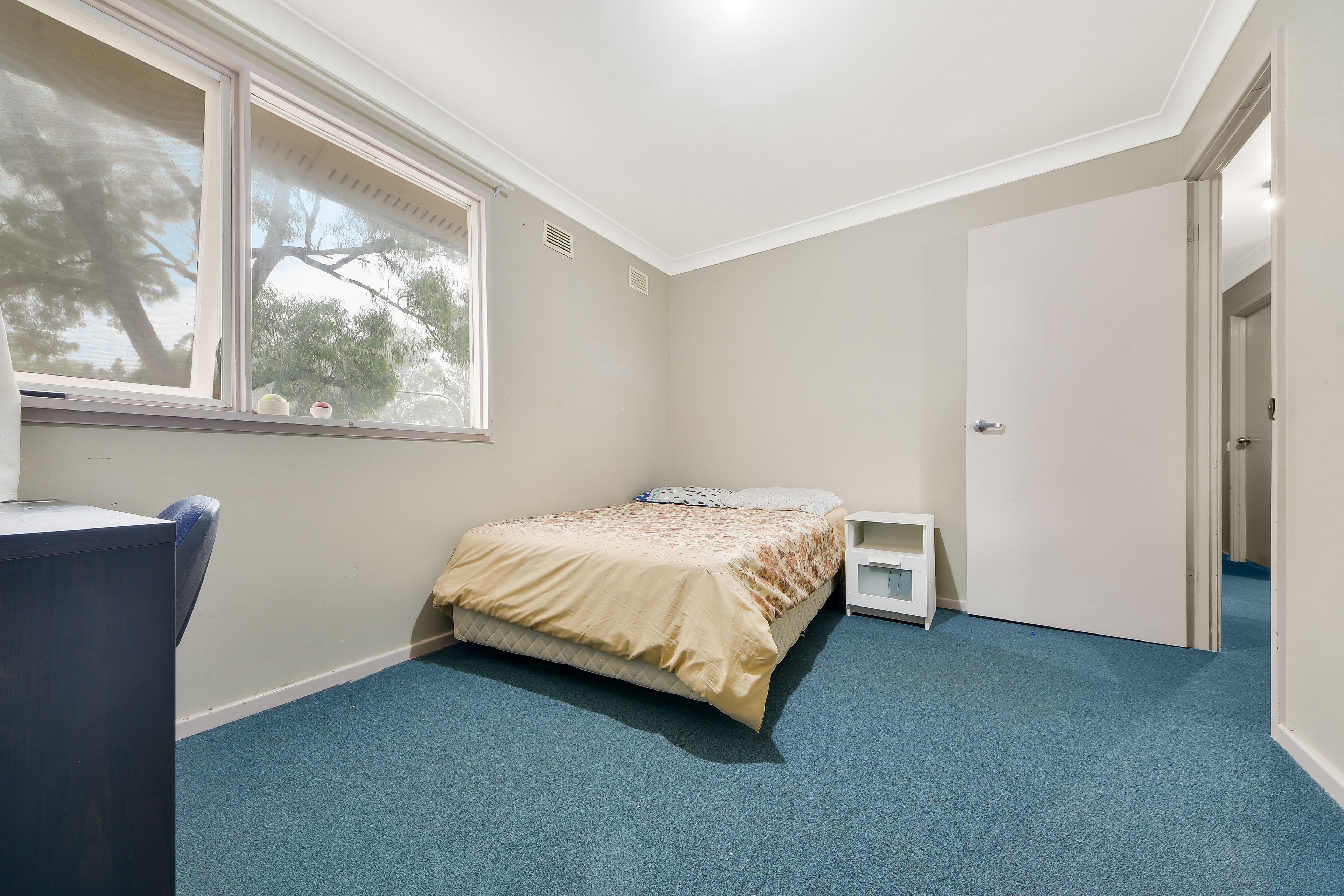 Macquarie Fields NSW 2564, Macquarie Fields - Thumbnail 4