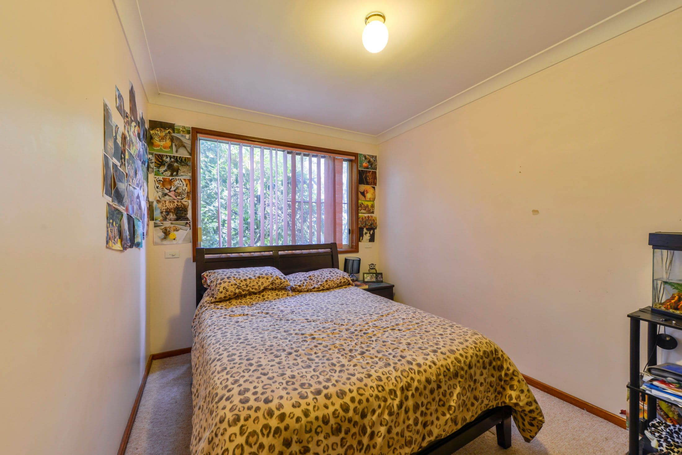 6 Adam Street, Tamworth NSW 2340, North Tamworth - Thumbnail 6