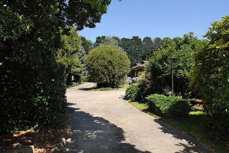 494-498 Mitcham Road, MITCHAM VIC 3132, Mitcham - Thumbnail 7