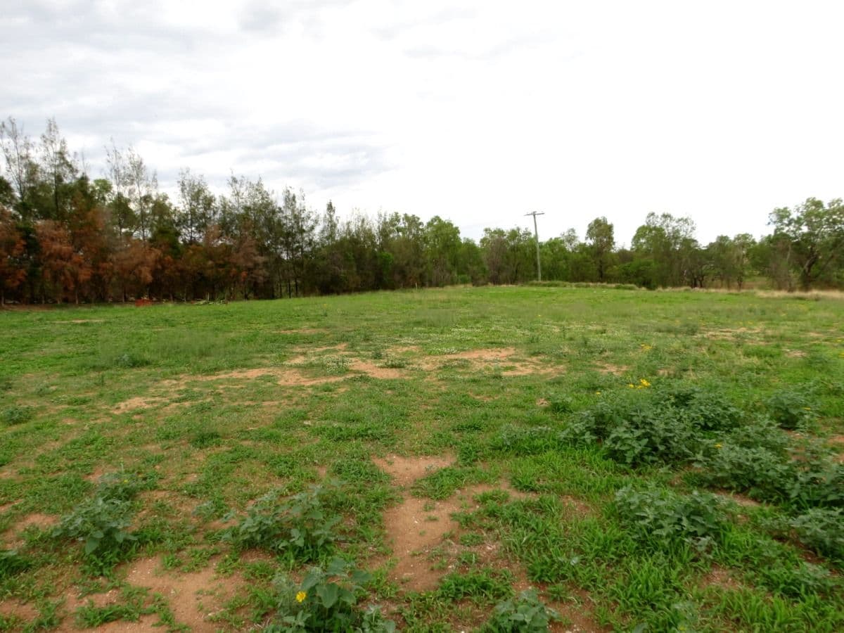 8-9 Chandon Court, Emerald QLD 4720, Emerald - Thumbnail 2