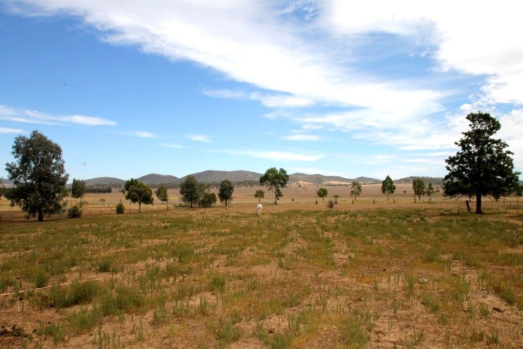101 Deeks Road, Werris Creek - Thumbnail 2