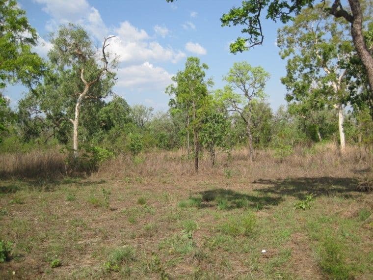 175 Whitstone Road, ACACIA HILLS NT 0822, Acacia Hills - Image 1