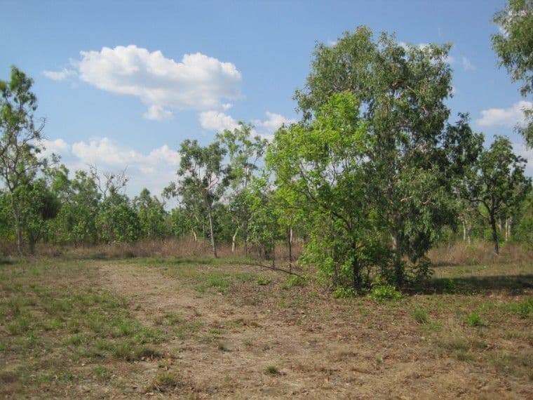 175 Whitstone Road, ACACIA HILLS NT 0822, Acacia Hills - Thumbnail 2