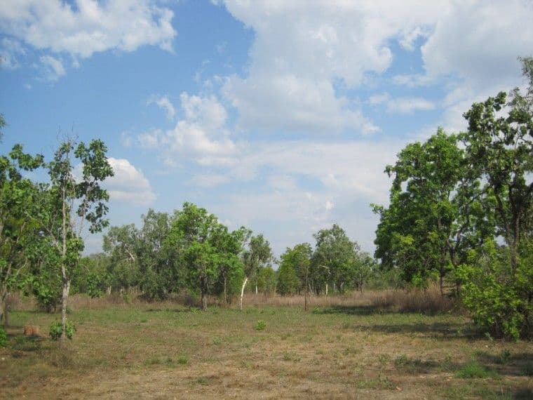 175 Whitstone Road, ACACIA HILLS NT 0822, Acacia Hills - Thumbnail 3