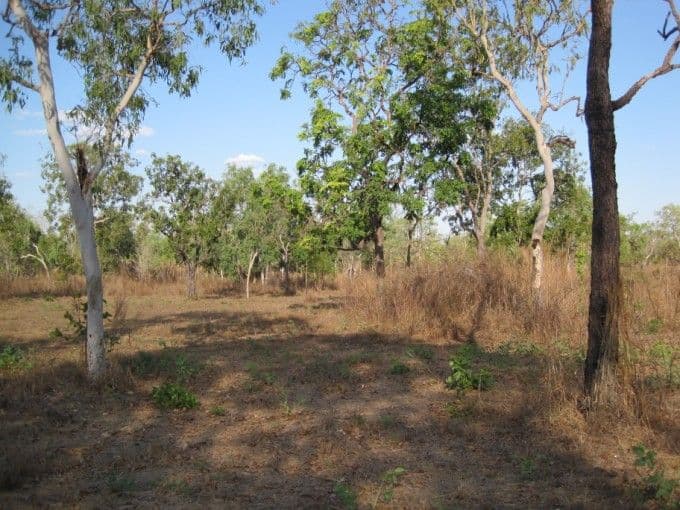 175 Whitstone Road, ACACIA HILLS NT 0822, Acacia Hills - Thumbnail 4