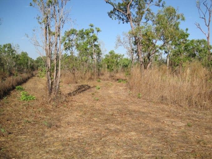 175 Whitstone Road, ACACIA HILLS NT 0822, Acacia Hills - Thumbnail 8