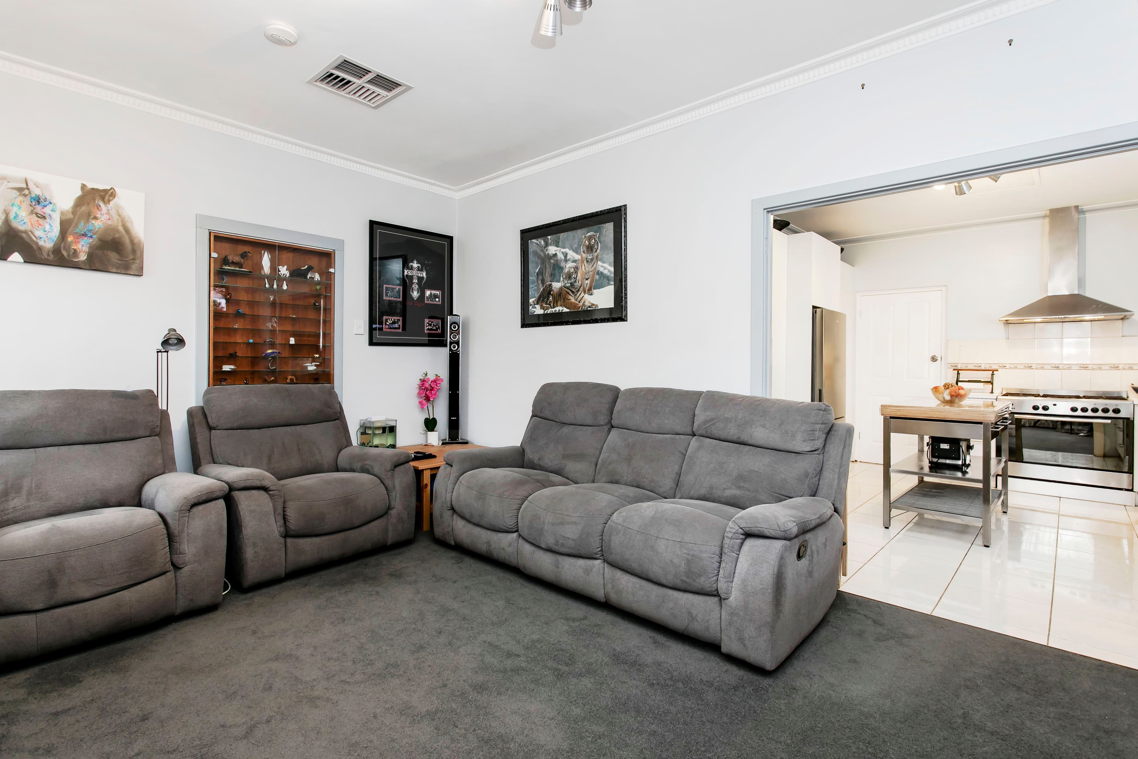 66 Pildappa Avenue, Park Holme SA 5043, Park Holme - Thumbnail 5