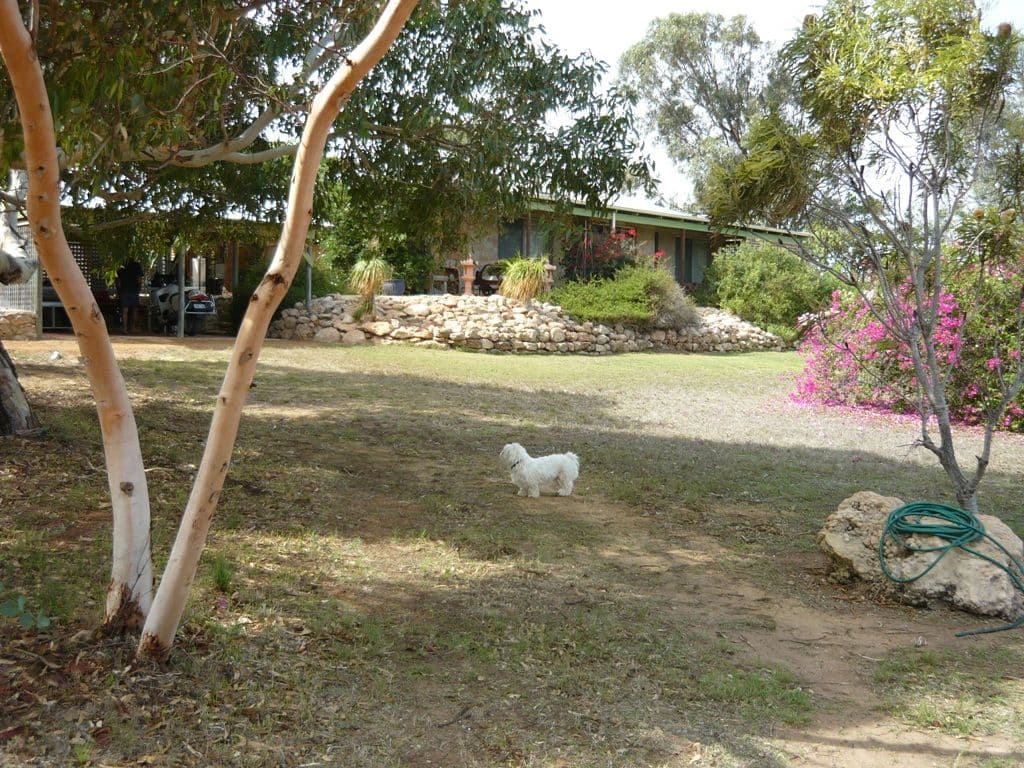 35134 Brand Highway, GREENOUGH WA 6532, Greenough - Image 1
