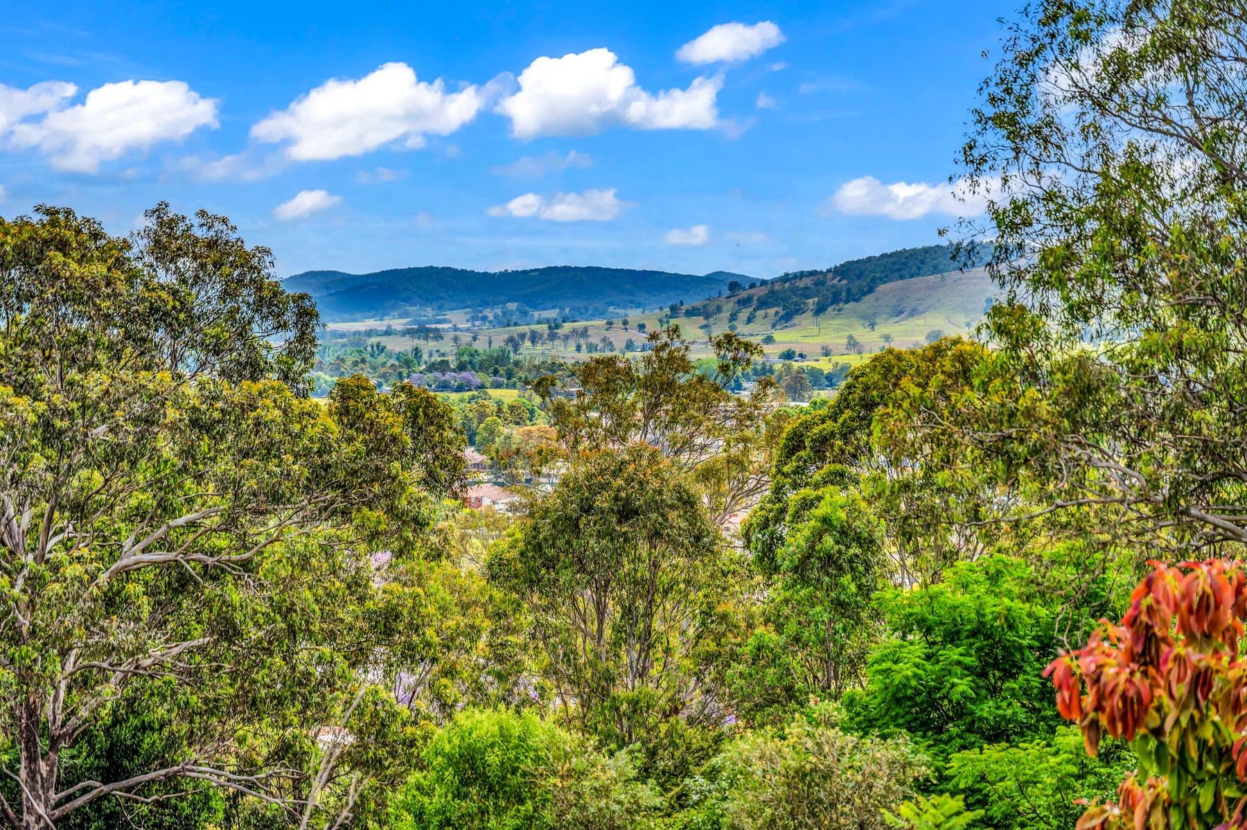 85 Chapman Street, Dungog NSW 2420, Dungog - Image 1