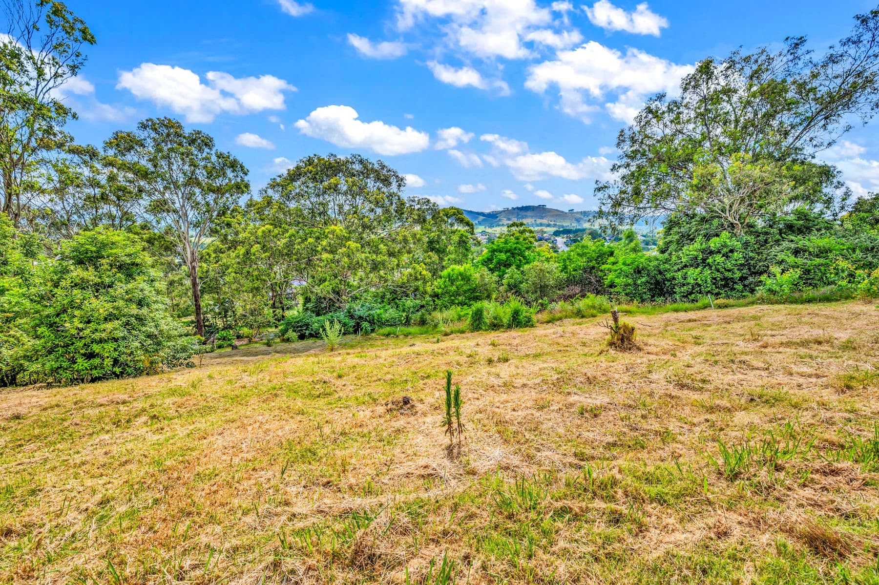 85 Chapman Street, Dungog NSW 2420, Dungog - Thumbnail 2