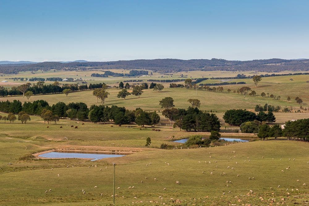 2789 Braidwood Road, Lake Bathurst NSW 2580, Lake Bathurst - Thumbnail 4
