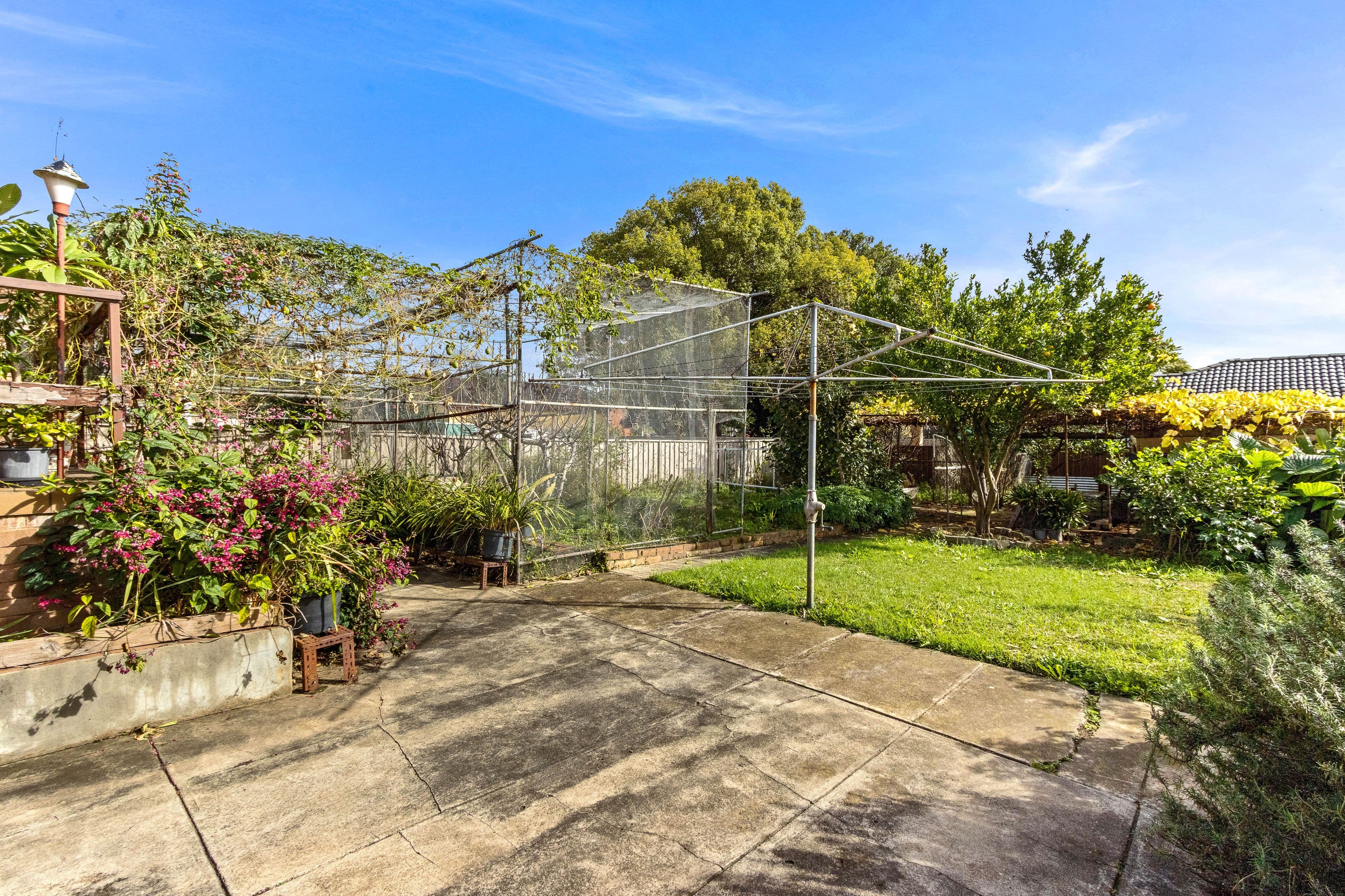 6 Barnards Avenue, Hurstville NSW 2220, Hurstville - Thumbnail 7